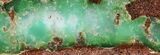 Polished Green Chrysoprase Slab - Western Australia #95862-1